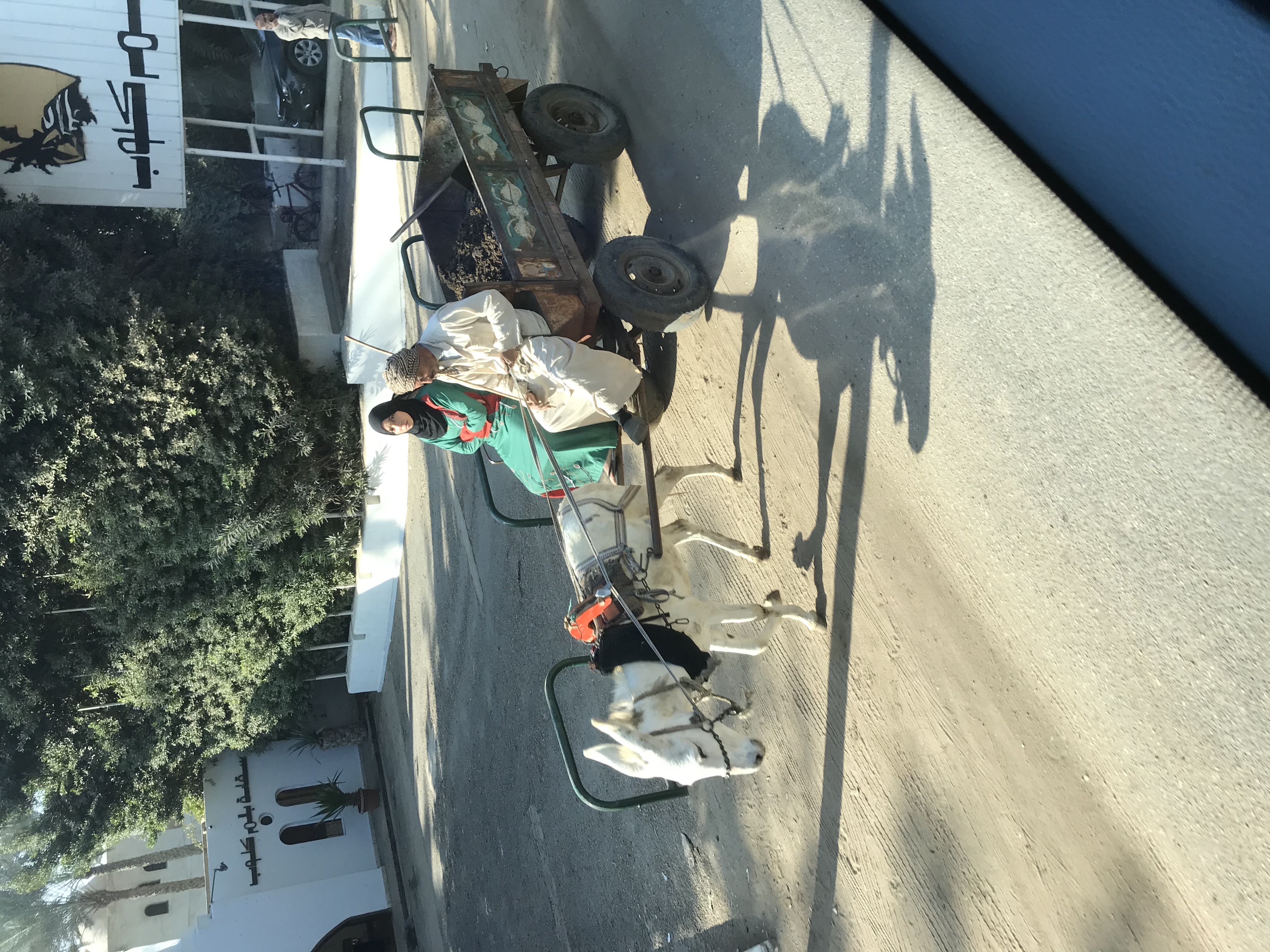 ./2018/16 - Egypt/03 - Pyramids/IMG_0527.jpg